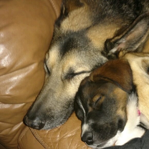 Meet your Posher, Shannon - Picture 12 of 17